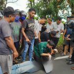 Seorang Pengendara Motor Meninggal Dunia Akibat Tertimpa Pohon Tumbang