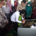 Kepala DP3A Malut Minta DAK PPPA Harus Merata di Semua Kabupaten Kota di Malut