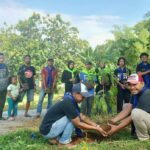 Mapala UMMU Peringati Hari Lingkungan Hidup Sedunia Dengan Menanam Pohon