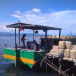 Idul Adha Bawa Keuntungan Bagi Motor Kayu Pengangkut Sapi Korban