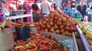 Ikut PKN di Jatim, Kadistan Kota Ternate Akan Lakukan Proyek Perubahan di Kelurahan Loto