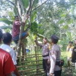 Stres Pemuda Galela Selatan Gantung Diri