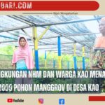 Tim Lingkungan dan Masyarakat Kao Kembali Menanam 1000 Bibit Mangrove di Desa Kao