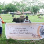 Cawagub Basri Salama Menyalurkan Hewan Qurban