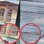 Menempel di Tiang Listrik: Jaringan WiFi dan TV Kabel Terbakar