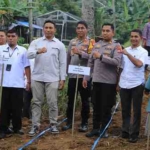 Pemuda Muhammadiyah Kota Ternate Gelar Penanaman Jagung Perdana di Lahan Muhammadiyah Kelurahan Fitu