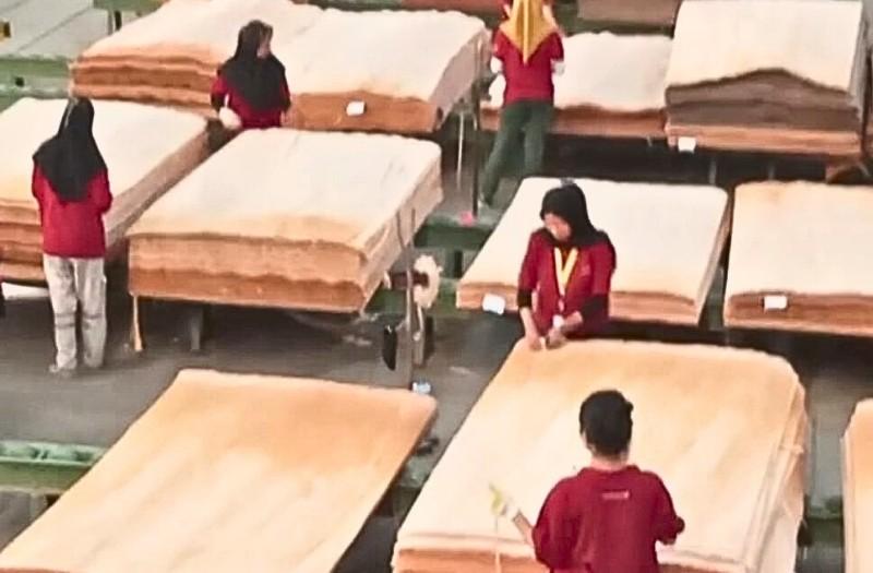 IMM Kecam PT MTP, Diduga Langgar K3 Buruh Tanpa APD